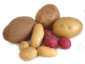 Potatoes