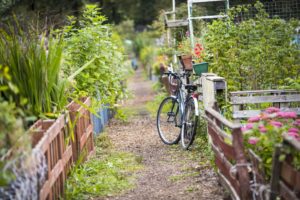 The battle is on for an allotment space
